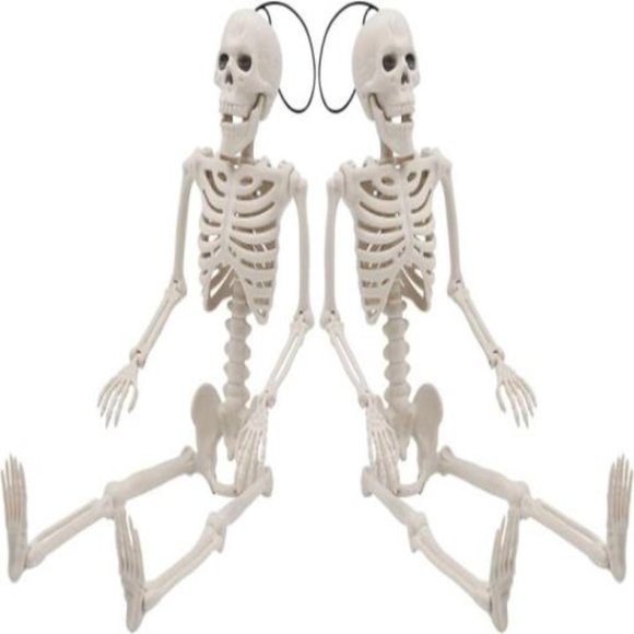 2 Packs 16" Posable Halloween Skeletons, Full Body Posable Joints Skeletons - Picture 3 of 8